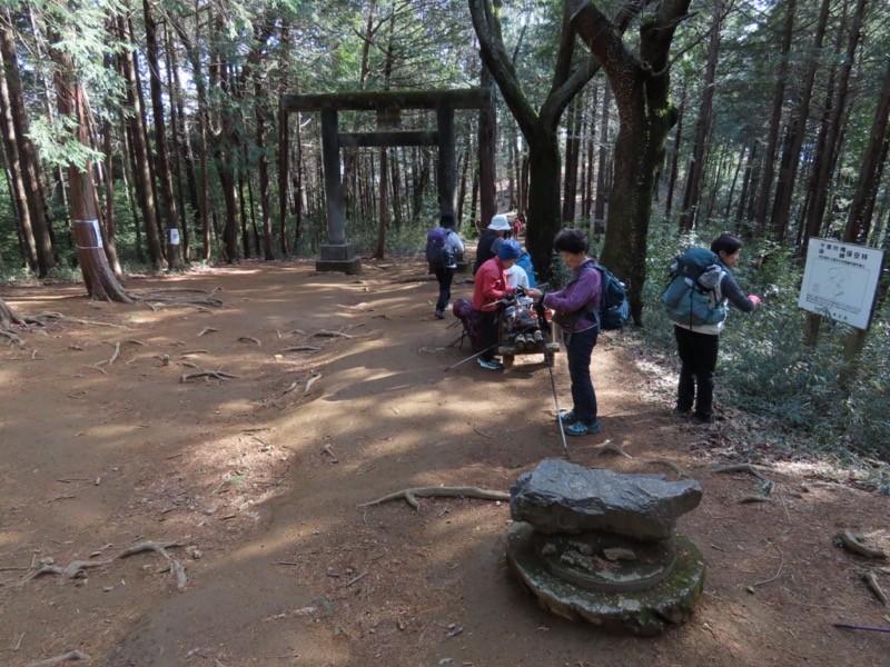 日和田山、物見山